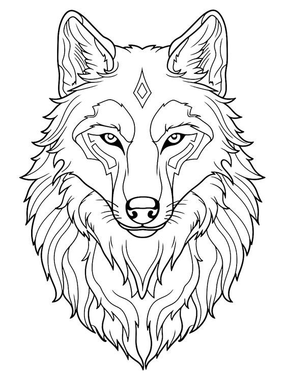 A black and white outline of a wolf's head with eyes A black and white outline of a wolf's head with eyes