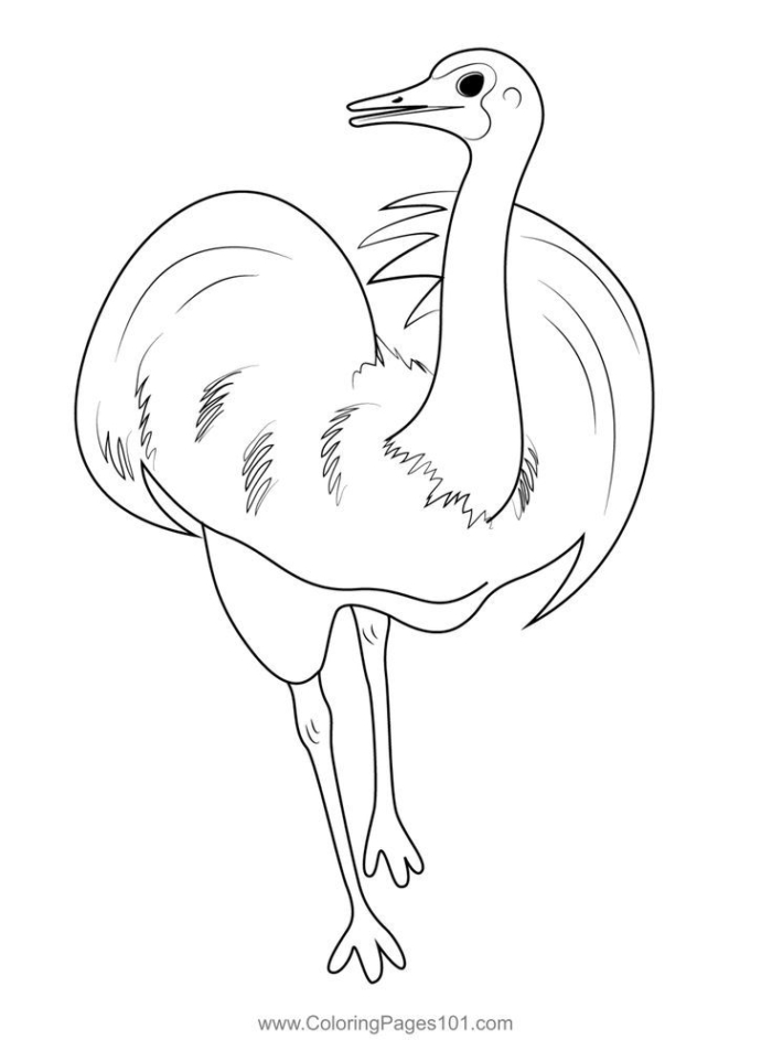 A cartoon ostrich standing in the grass coloring page A cartoon ostrich standing in the grass coloring page