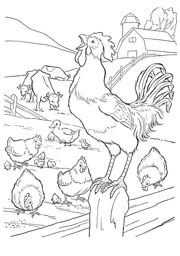 A chicken standing on a wooden fence with other chickens and cows nearby A chicken standing on a wooden fence with other chickens and cows nearby