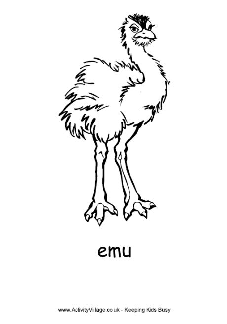 A coloring page of an emu with the word  A coloring page of an emu with the word