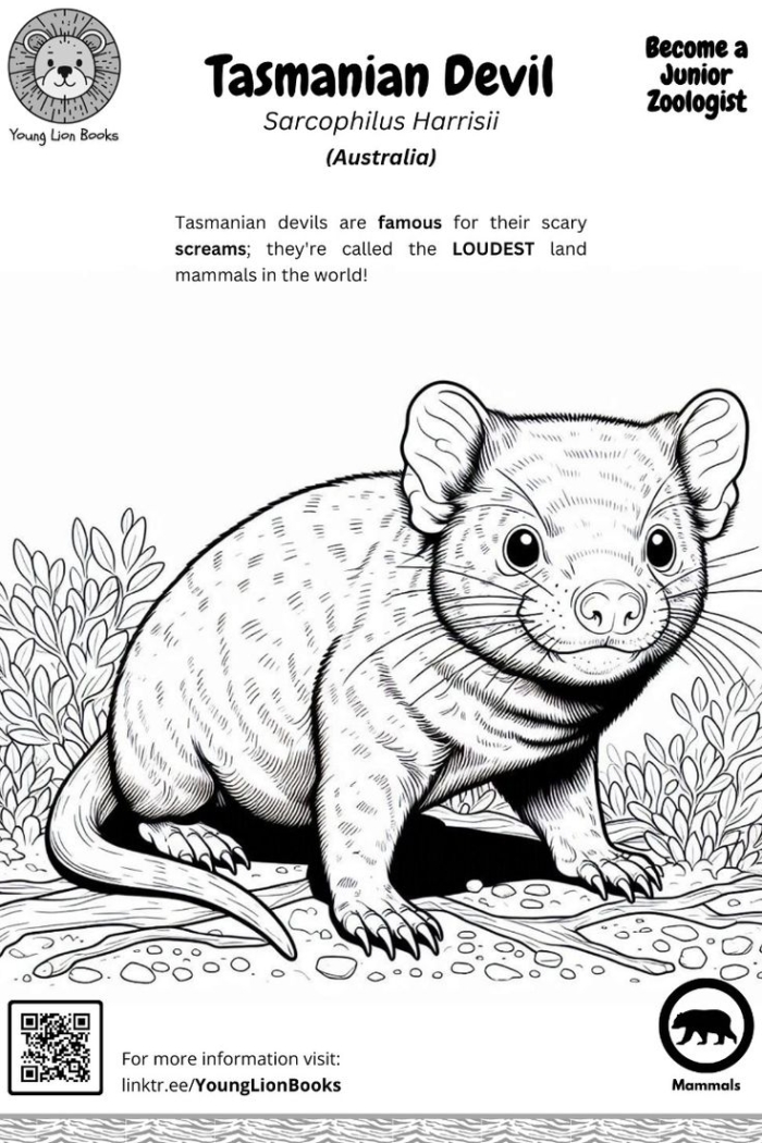 A coloring page with a small animal on the front and back covers A coloring page with a small animal on the front and back covers