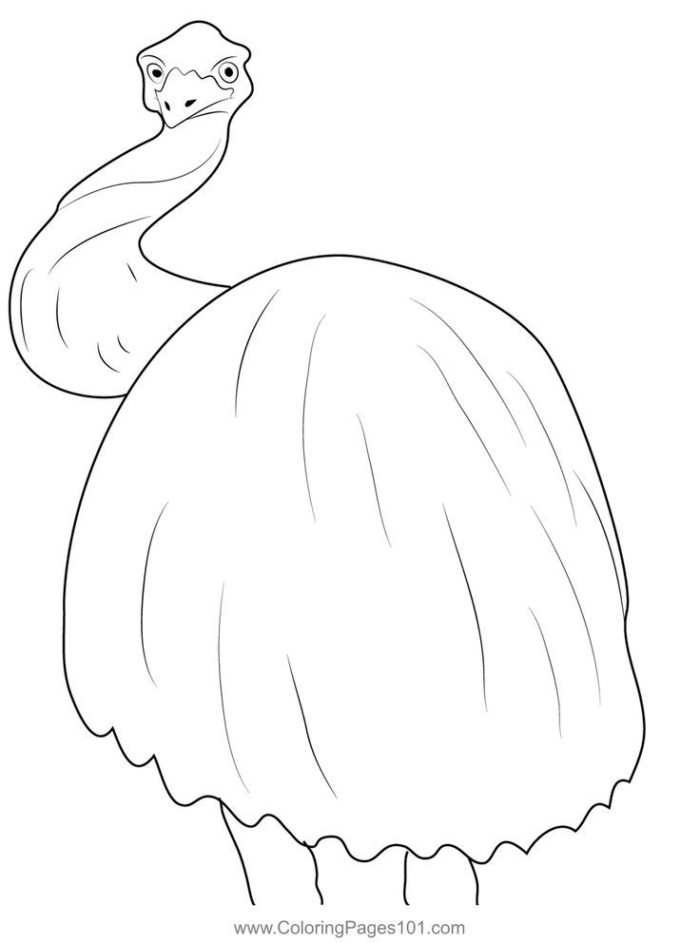 A cute ostrich sitting on a ball for kids to color A cute ostrich sitting on a ball for kids to color