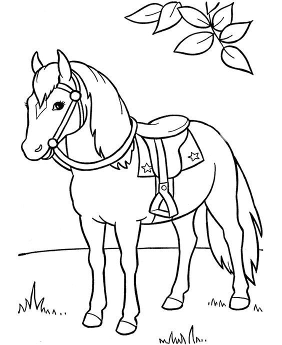A horse standing in the grass with a saddle on its back