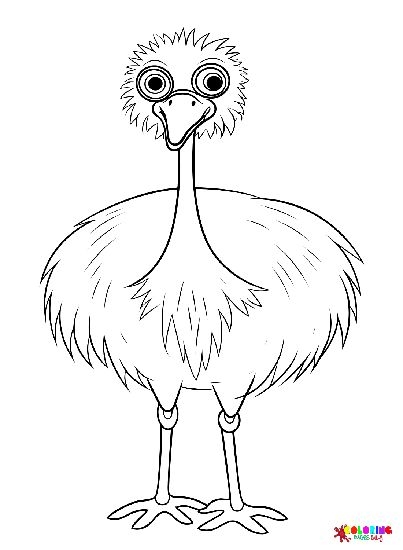 A large-eyed ostrich with long legs A large-eyed ostrich with long legs