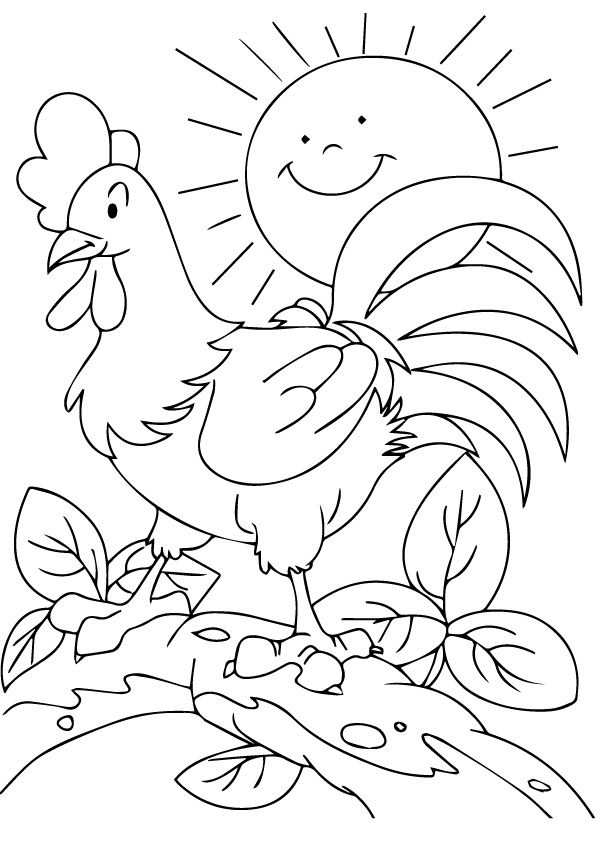 A rooster perched on a tree branch with the sun in the sky behind it A rooster perched on a tree branch with the sun in the sky behind it