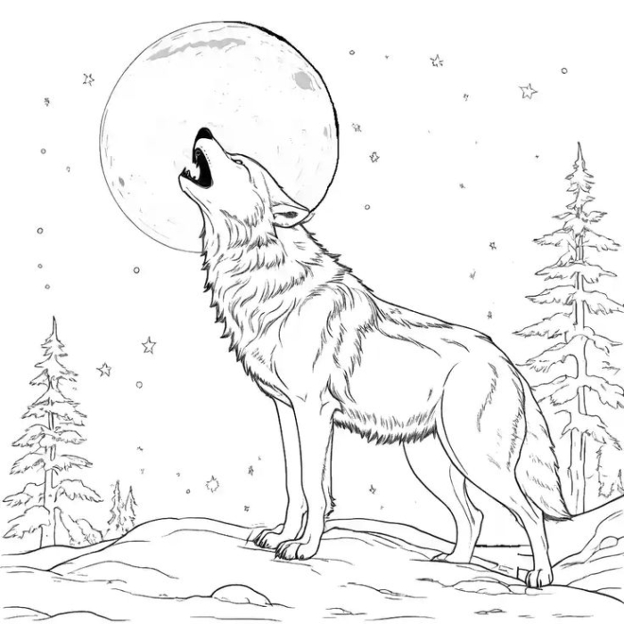 A wolf howling at the moon with trees behind it A wolf howling at the moon with trees behind it