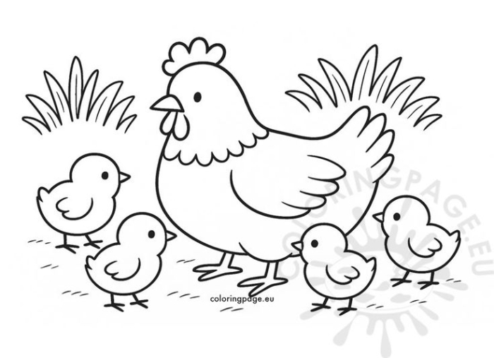 An adult chicken with her chicks walking in the grass, printable coloring page An adult chicken with her chicks walking in the grass, printable coloring page