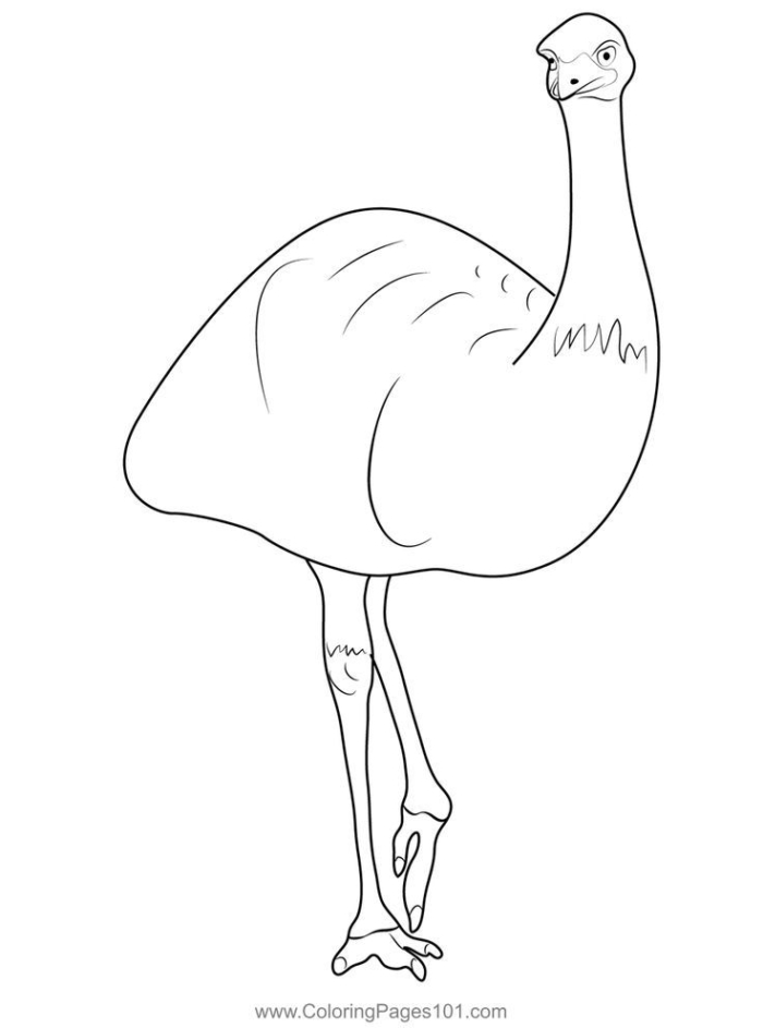 An ostrich in the grass coloring page An ostrich in the grass coloring page