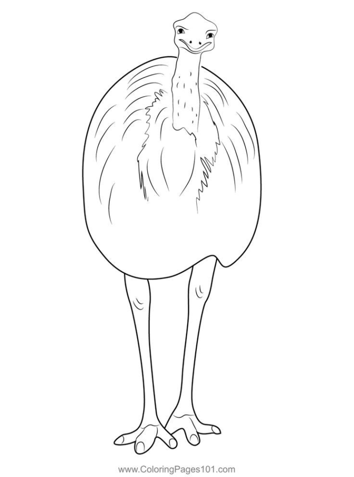 An ostrich standing and looking at the camera An ostrich standing and looking at the camera