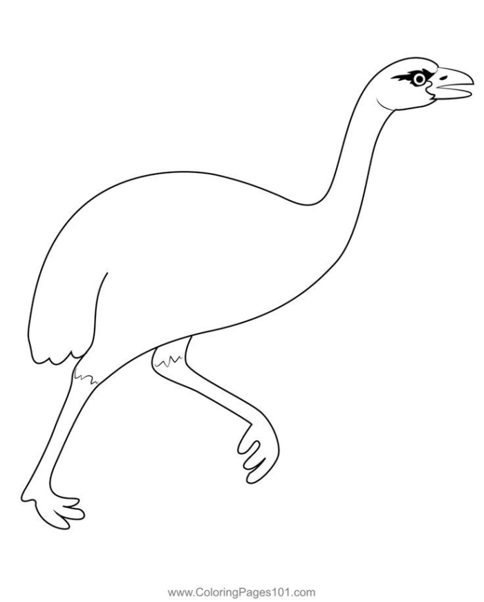 An ostrich walking and looking at the camera coloring page for kids, printable An ostrich walking and looking at the camera coloring page for kids, printable