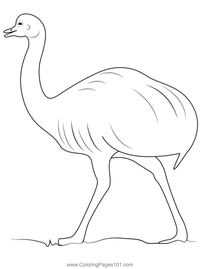 An ostrich walking on the ground coloring page An ostrich walking on the ground coloring page