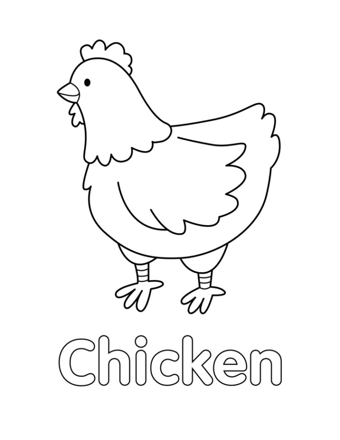 Chicken coloring page from littlebeefamily.com Chicken coloring page from littlebeefamily.com