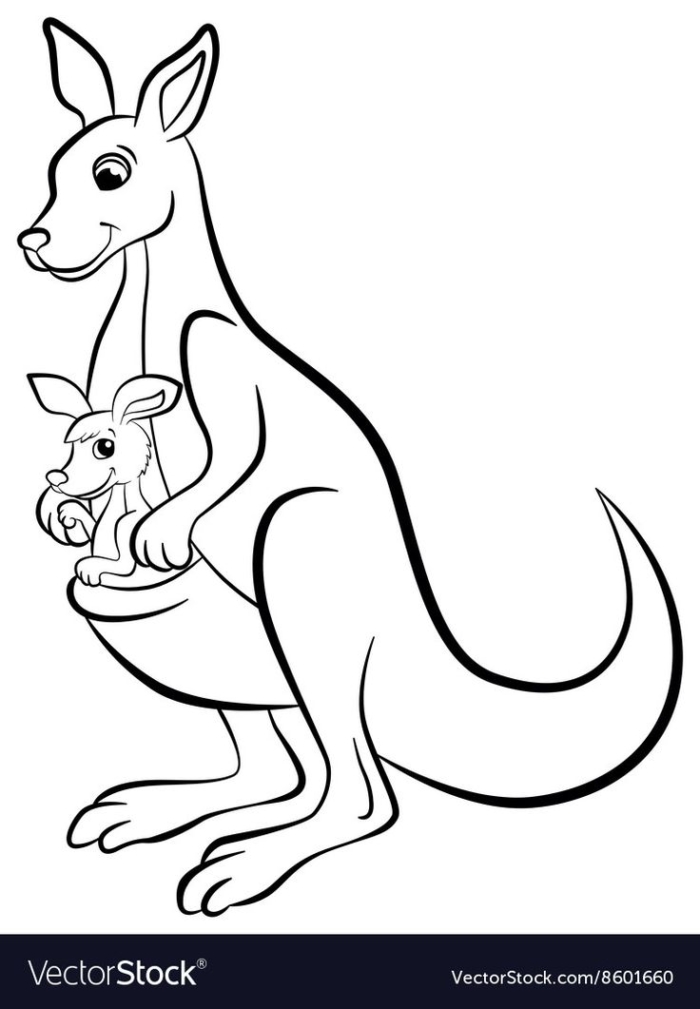 Cute kangaroo coloring page with outline for kids