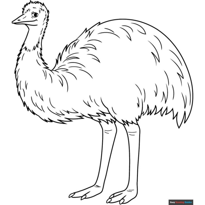 Free emu coloring sheet for kids Free emu coloring sheet for kids