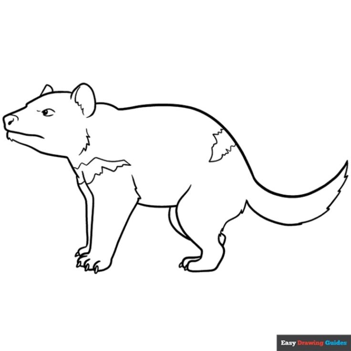 Free tasmanian devil coloring page for kids Free tasmanian devil coloring page for kids