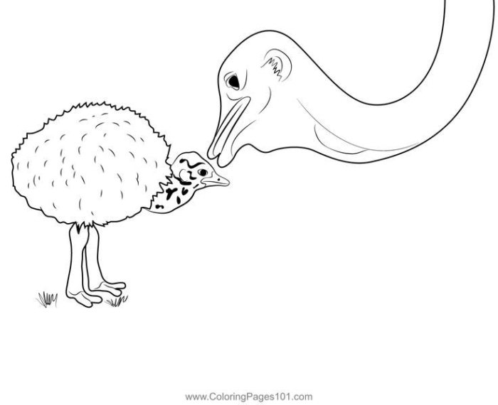 Ostrich and chick hugging coloring page for kids printable Ostrich and chick hugging coloring page for kids printable