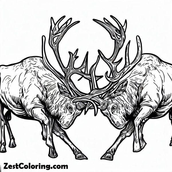 Two elk antlers wrestling coloring page for kids, elk category, 1024x1024 pixels, 195kb, perfect for fun and creative coloring